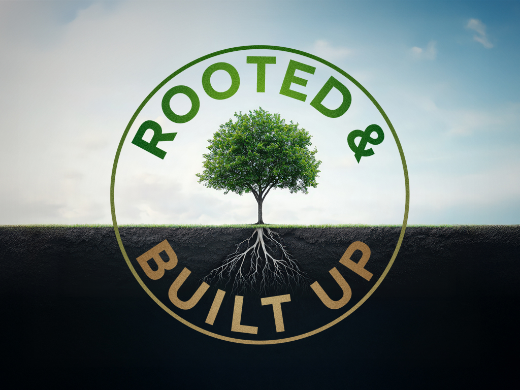 Rooted and Built Up - WH Image