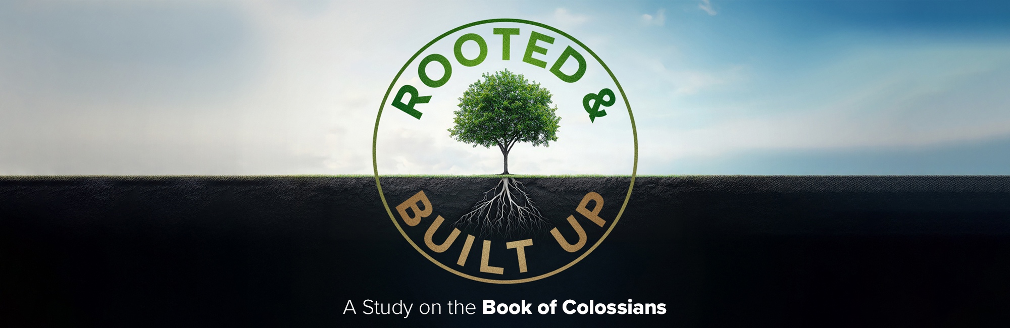 Rooted and Built Up - Web - Message Header Rooted and Built Up - Web - Message Header